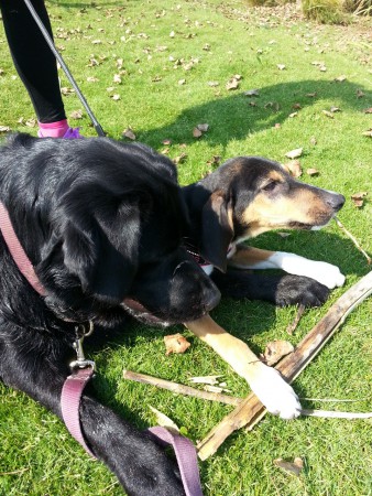 Siska e Spock: decidono le mete da visitare