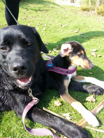 Siska e Spock: discussioni per le nuove escursioni