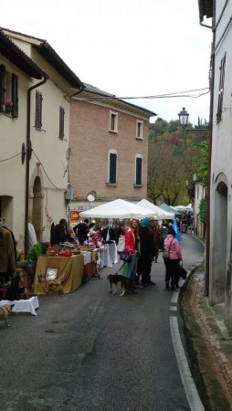 Serrapetrona (MC) -Mercatino 