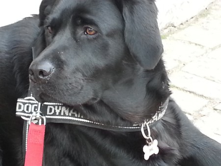 C.B.F. ADMINISTRATOR