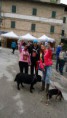 /album/galleria-fotografica/facebook-1415566047783-jpg/